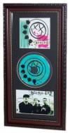 Blink 182 Autographed CD